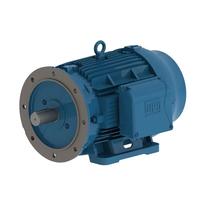 01136ET3Y160MFF-W22 WEG 15HP/11kW IEC Tru-Metric Electric Motor, 3600RPM