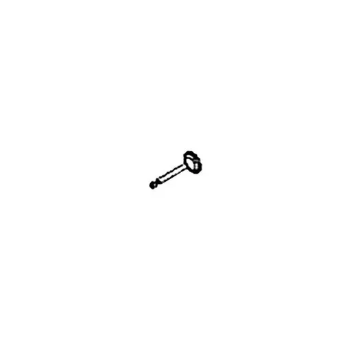 099980858020 – VALVE IN (HOMELITE ORIGINAL OEM)