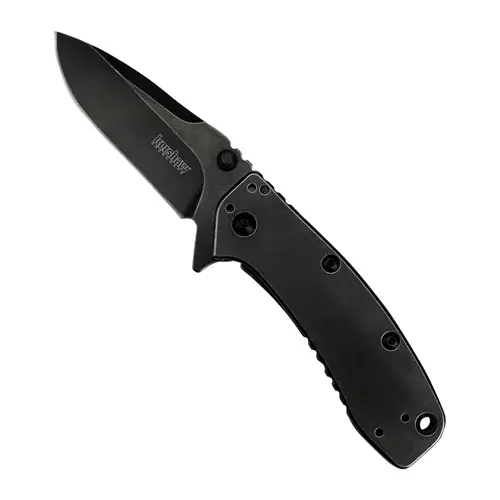 1556BW Kershaw Cryo Ii With Blackwash