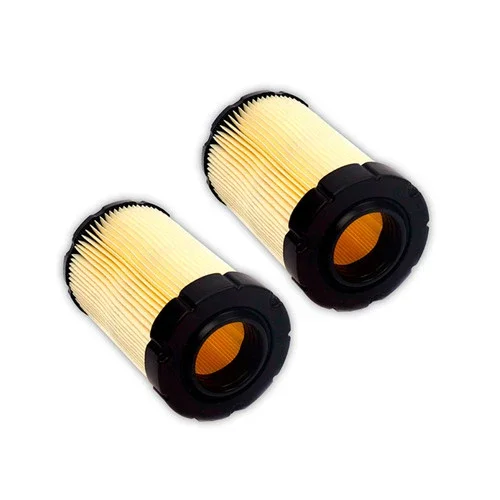 594201 Air Filter Briggs And Stratton Pack 2