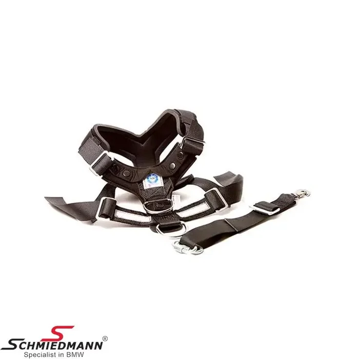 AllSafe dog harness – Large