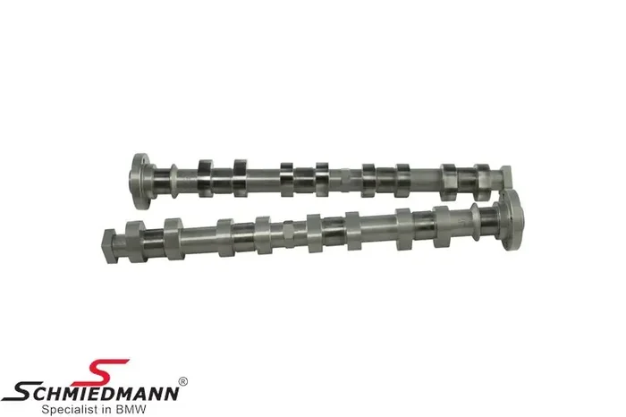 Camshafts sport M44 272GR dbilas
