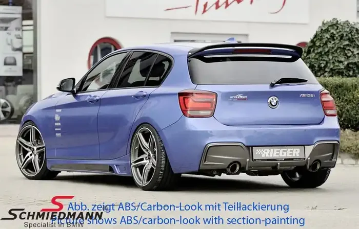 Rieger sideskirt carbon look with opening, with cutout and aluminium mesh L.-side